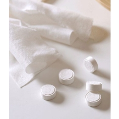 Portable Compressed Towel