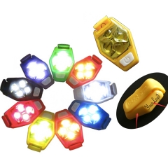 LED Clip Light